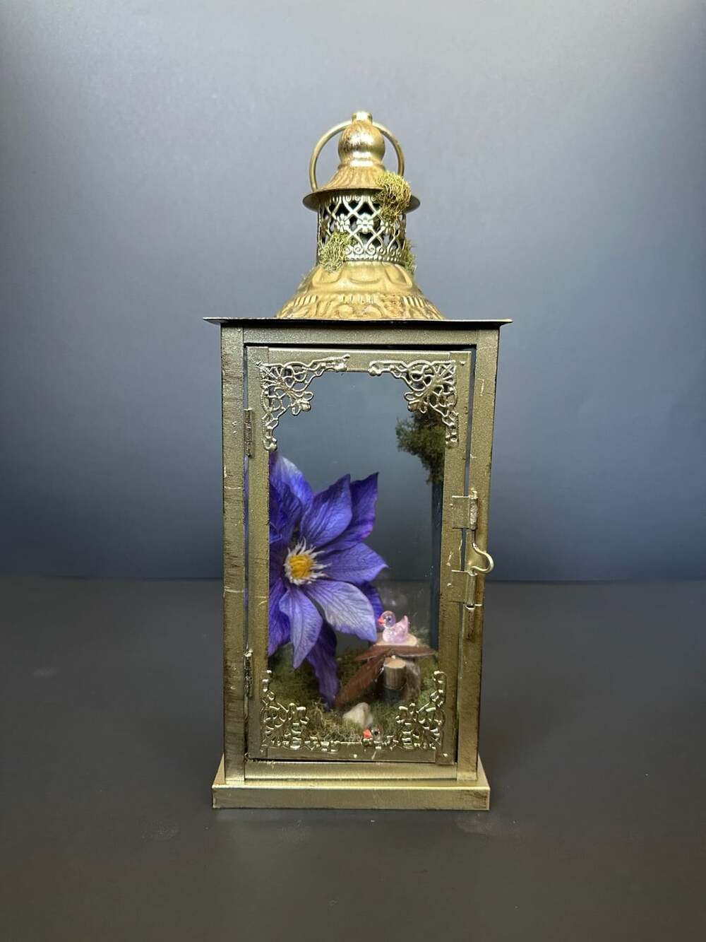 Decorative Gold Metal Lantern Terrarium with Blue Clematis Flower and Miniature